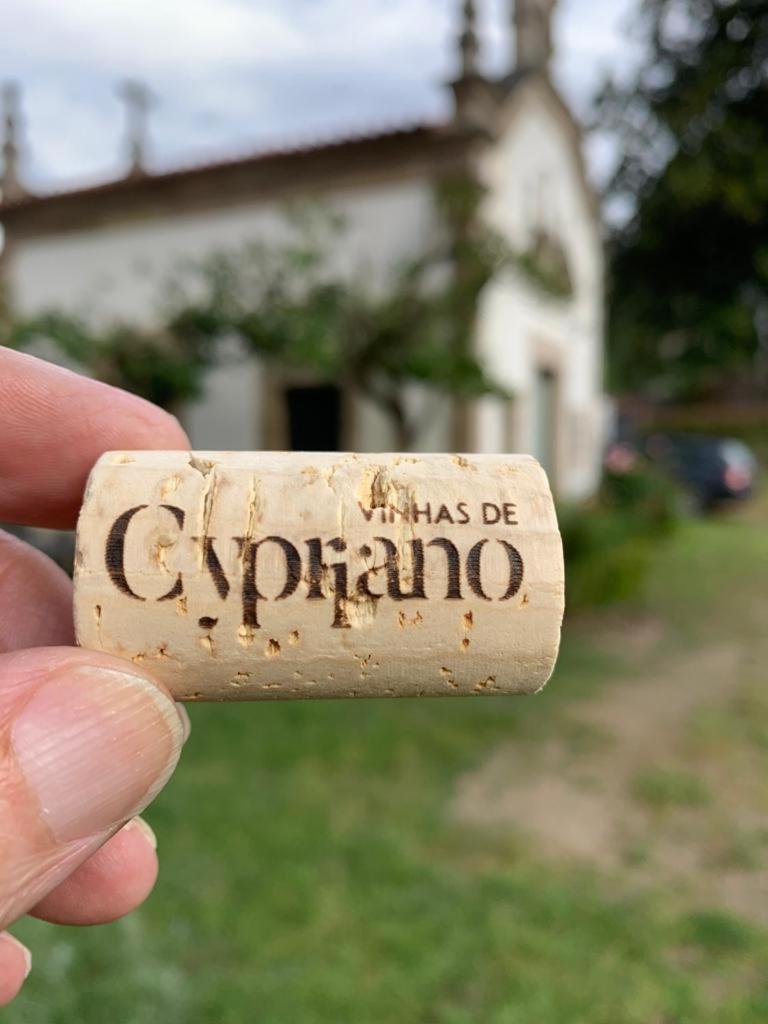 Quinta De Cypriano - Wine & Nature Понти-да-Барка Экстерьер фото