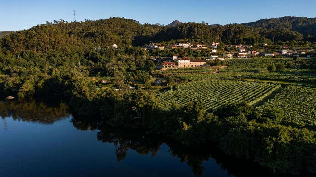 Quinta De Cypriano - Wine & Nature Понти-да-Барка Экстерьер фото